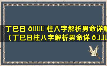 丁巳日 🐞 柱八字解析男命详解（丁巳日柱八字解析男命详 🍀 解大全）